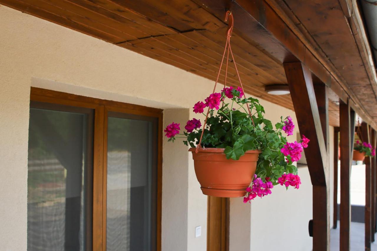 Bed and Breakfast Tulip Garden Panzio Kékcse Esterno foto